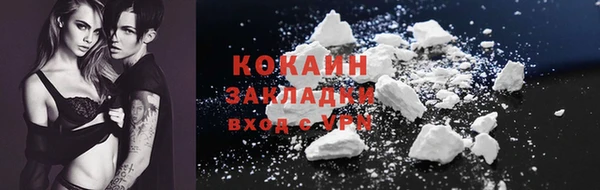 индика Лабытнанги