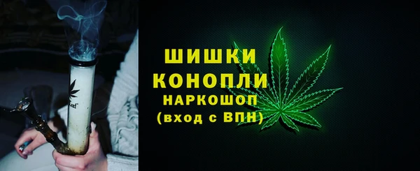 стаф Кулебаки
