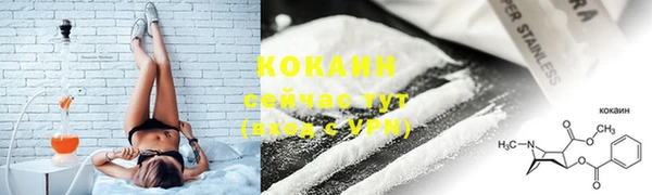 индика Лабытнанги
