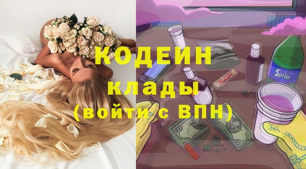 стаф Кулебаки