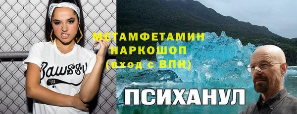индика Лабытнанги