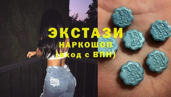 стаф Кулебаки