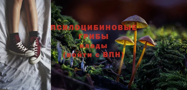 apvp Куйбышев