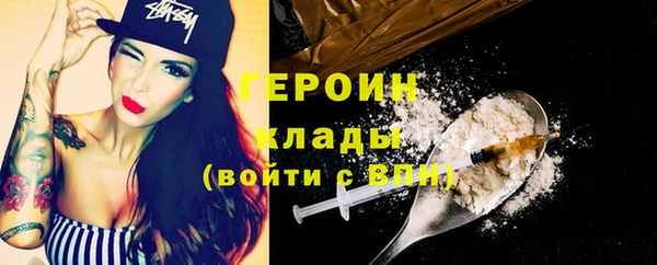 индика Лабытнанги