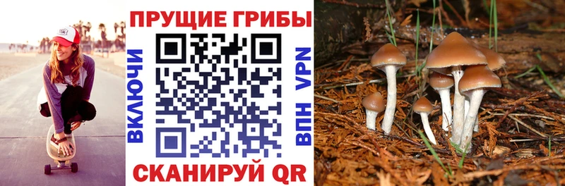 Псилоцибиновые грибы GOLDEN TEACHER  где можно купить наркотик  Мелеуз 